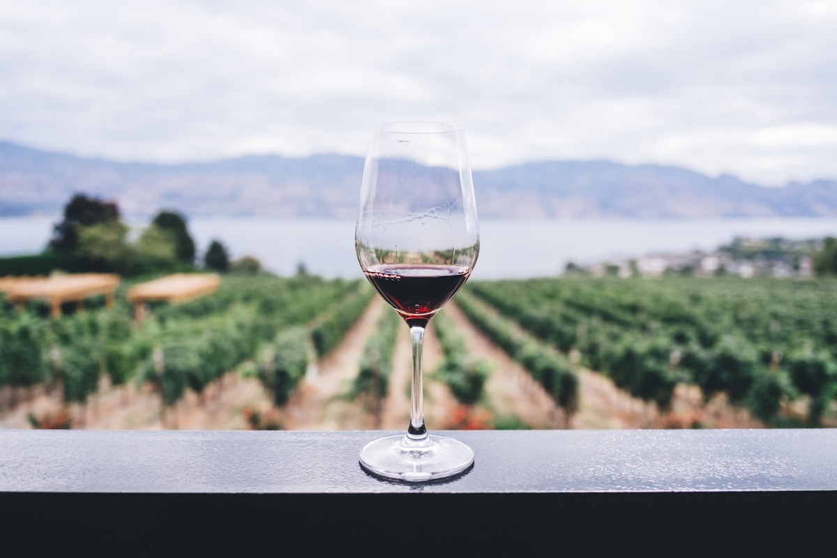 Vino Rosso