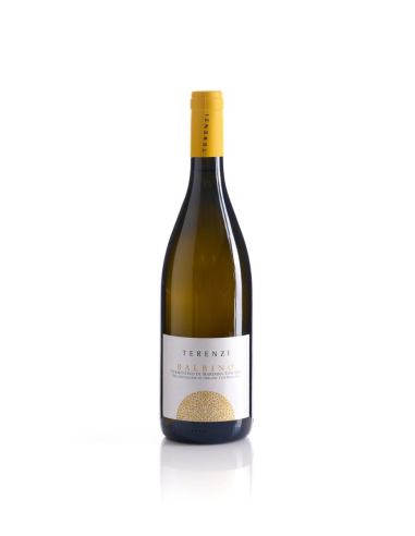 TERENZI Vermentino di Maremma DOC