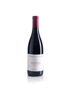 ALAIN MICHELOT Bourgogne Rouge