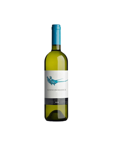 GAJA 2021 Alteni di Brassica DOC Langhe