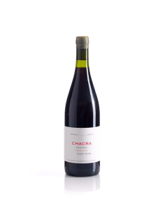 BODEGA CHACRA 2019 32...
