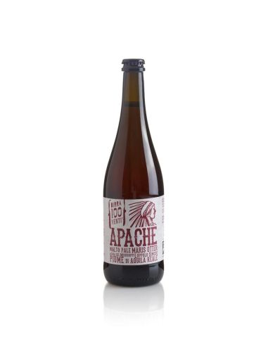 BIRRA 100VENTI Apache