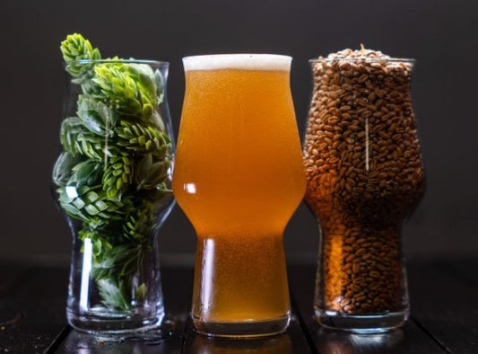 Birra IPA: significato, caratteristiche e le migliori etichette artigianali