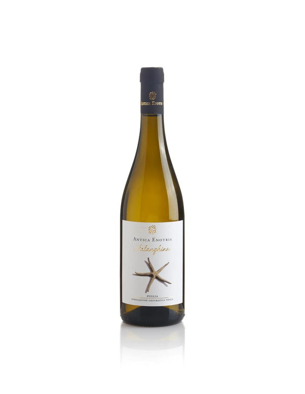 ANTICA ENOTRIA Falanghina Puglia IGT