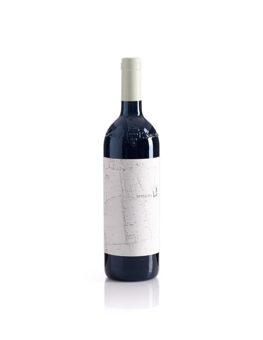 VENEGAZZU Spineda Merlot DOC Montello  - LOREDAN GASPARINI