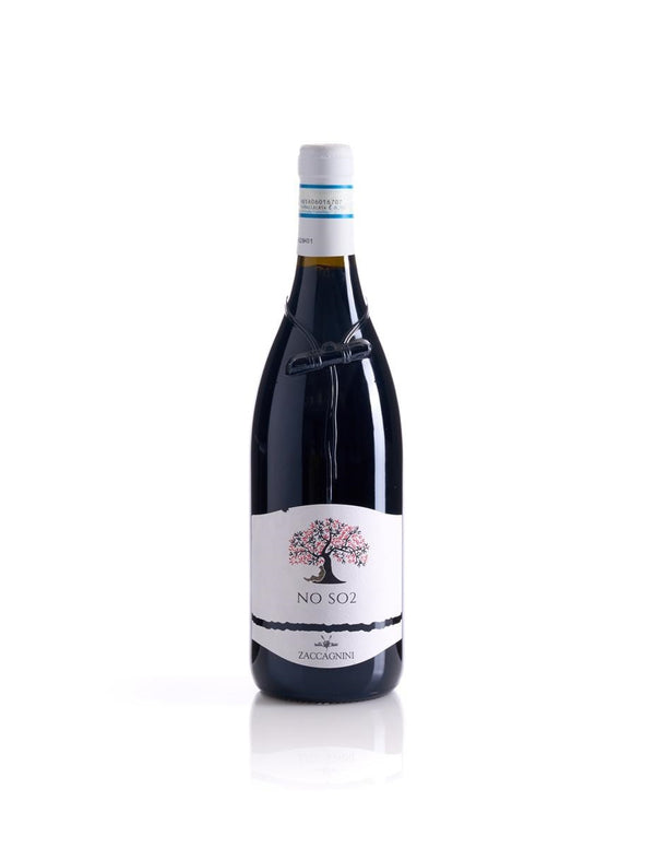 ZACCAGNINI NoSo2 Montepulciano d'Abruzzo senza solfiti aggiunti DOC