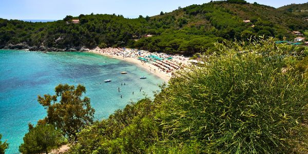 VINO ELBA ALEATICO: IL FAMOSO VINO DOLCE DELL’ELBA