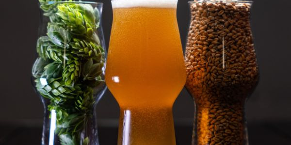 BIRRA IPA: SIGNIFICATO, CARATTERISTICHE E LE MIGLIORI ETICHETTE ARTIGIANALI 